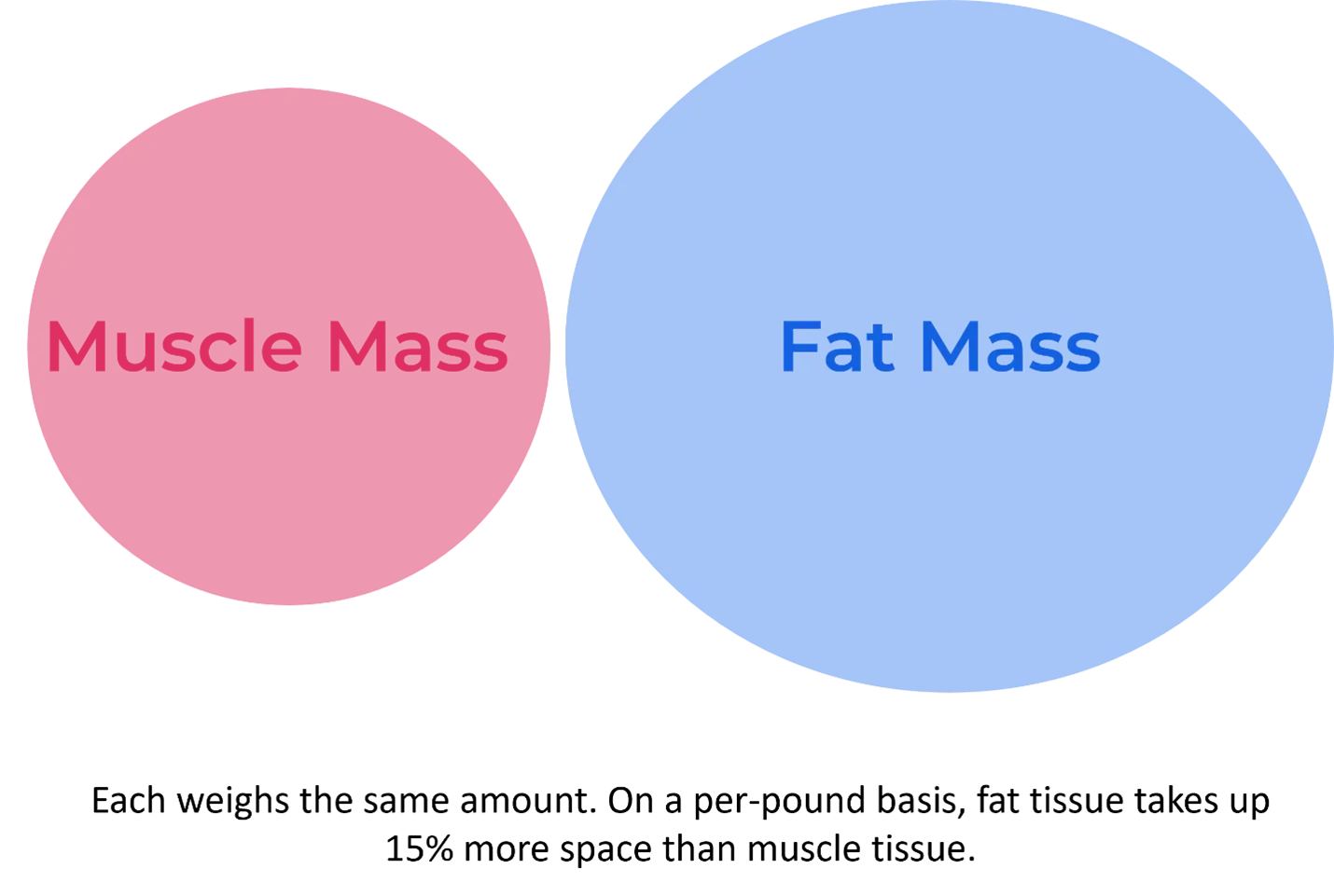Fat takes up more room in our bodies than muscle.